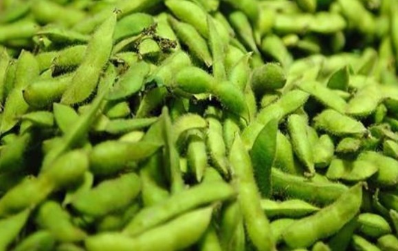 改善便秘|此物具有7大功效,可以改善脂肪代谢,改善便秘,降低血压!