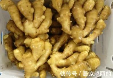 冬病夏治|三伏天睡前把“生姜”涂在脚底,坚持一周,3个好处收入囊中!