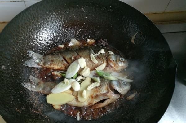 被“误解”最深的鱼,它的全身是宝,比甲鱼营养,一斤5元没人买