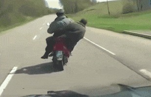 |搞笑GIF:土豪的新娘就是霸气,人家卖的是黄金萌啊