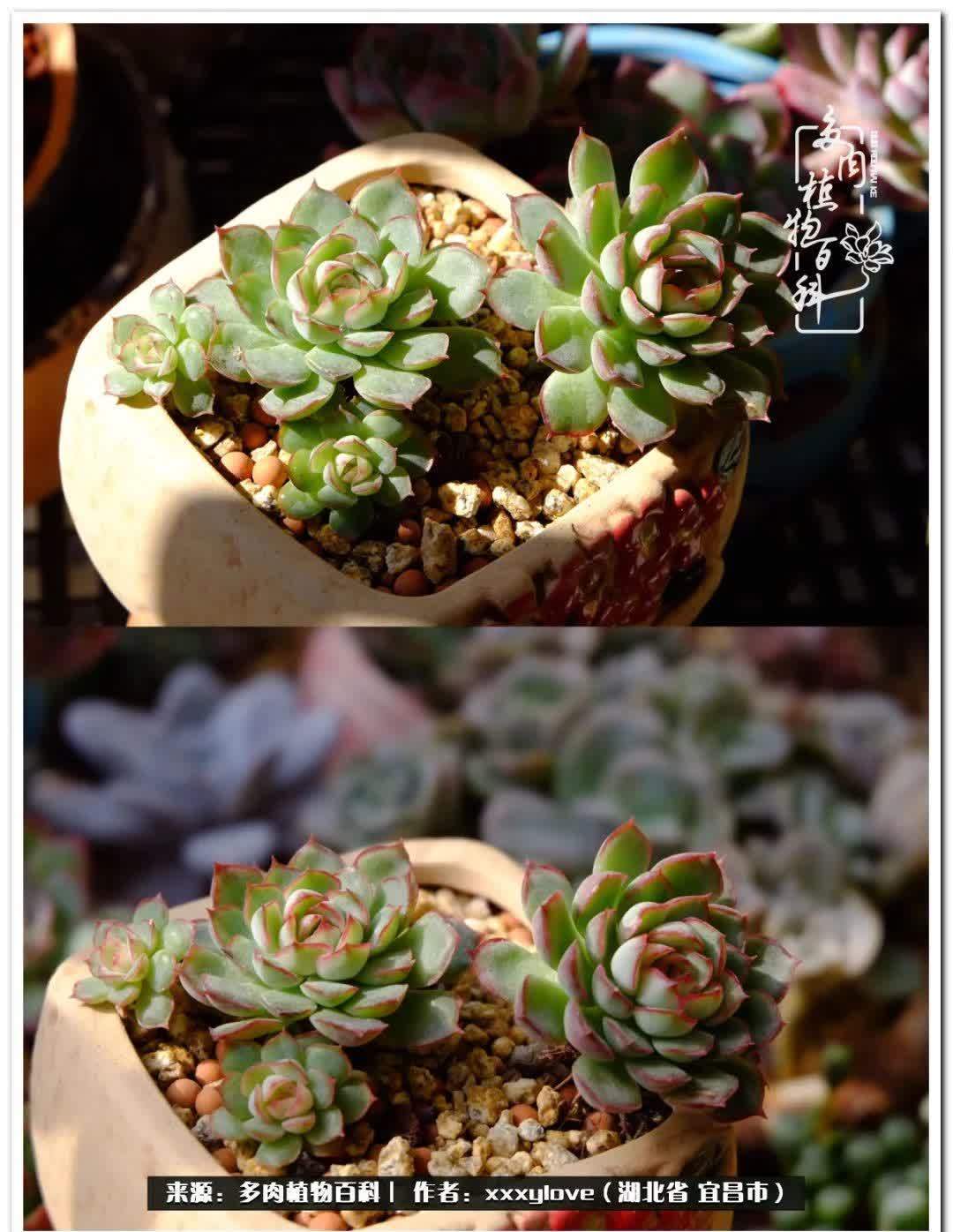 时光匆匆,一闪而逝,这世间万物的美,都值得被记录!