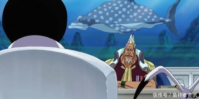 赤犬|海贼王青雉离开海军原因揭晓！他投靠黑胡子，是为了救卡普