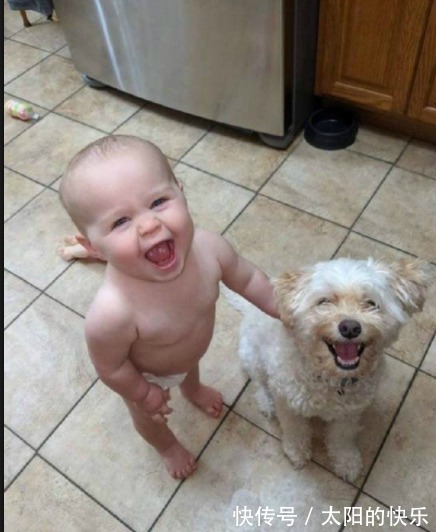 |搞笑段子:第一次去高档餐厅,找了个位置将背着的麻布袋放下。