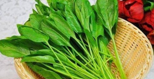 十字科|女性想要身体好,常吃四种食物,健脑益智,延缓衰老,增强体质