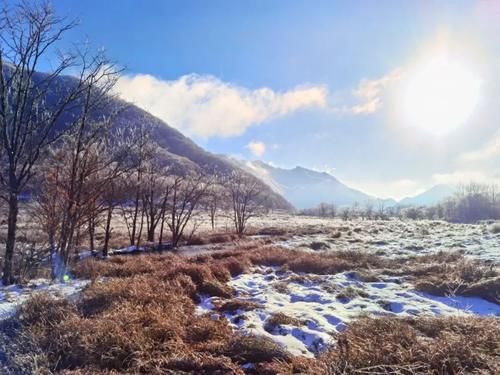 神农架|冬日神农架，醉美不过瑞雪初晴！