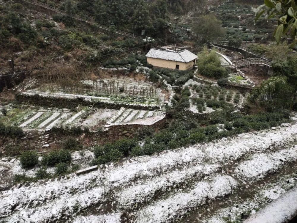 雪景|丽水这些地方下雪了，美炸了~最新雪景美图，请签收