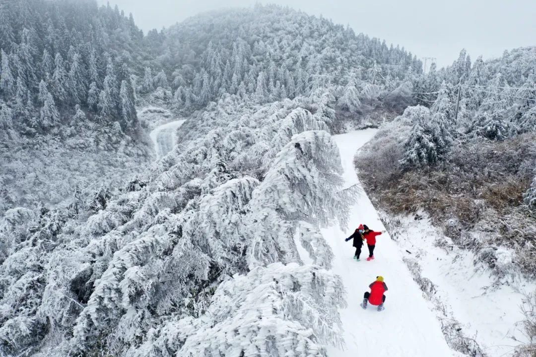 奋力|正见第100期丨奋力奔跑，为了新的期待！