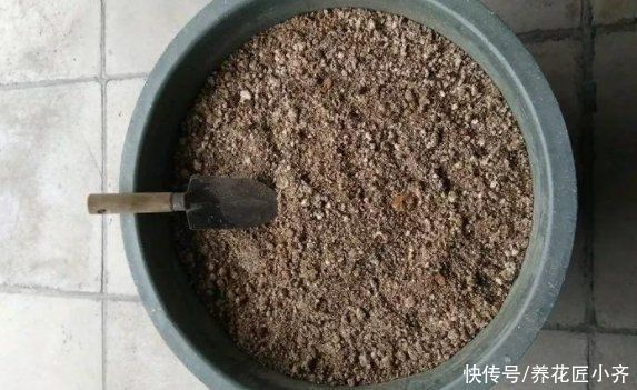 养花|如果你是阳台养花,4种土不要直接用,否则花有可能活不过三个月