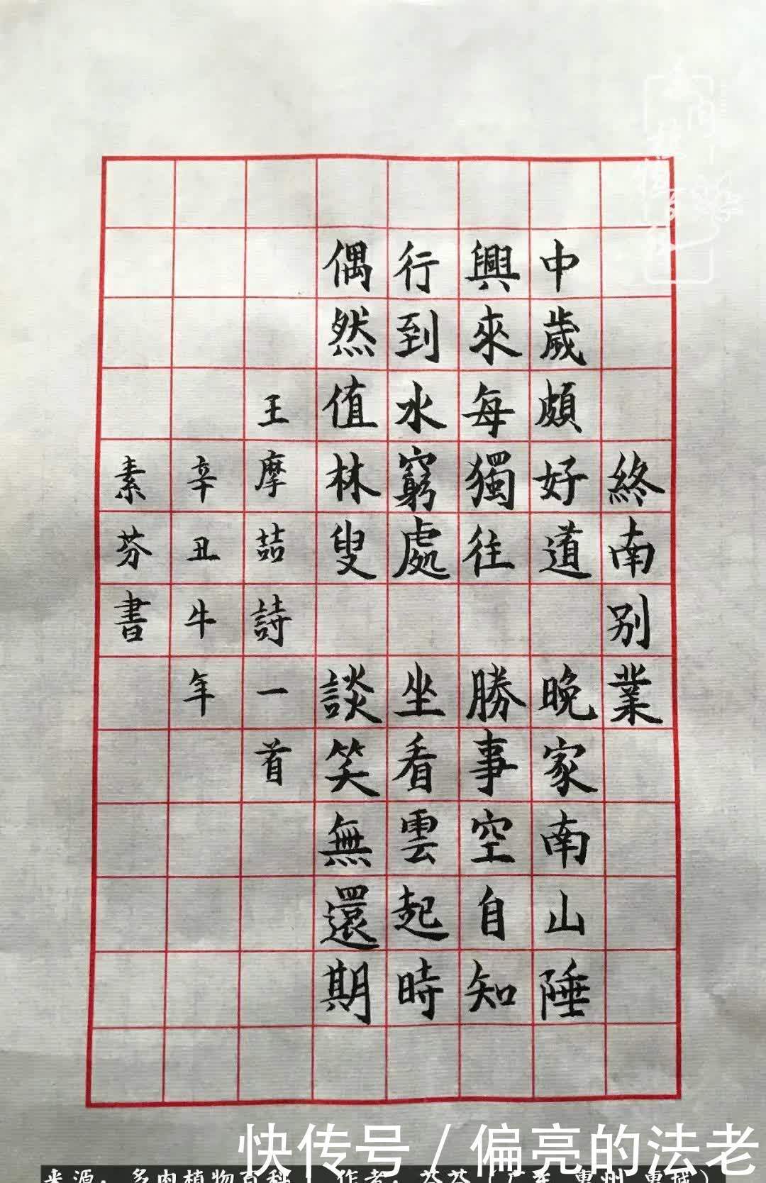 养花|一种爱好就是一种境界,养花养多肉可以培养一个人的心境!