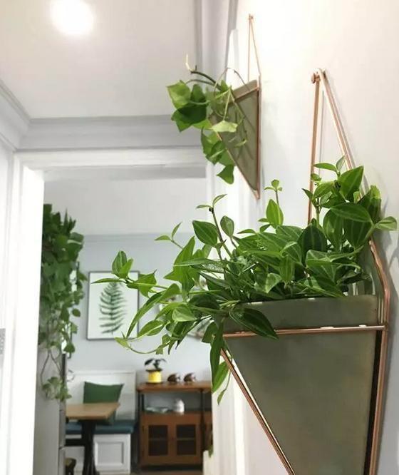 装修|新房装修好不要着急入住,切记要做好4步,别因为着急而忽视健康