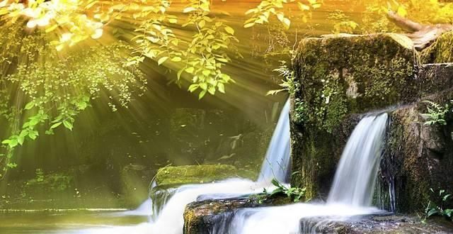 学生|苏轼学生引用王维诗句,但表达的意思相差很远,境界更是云泥之别