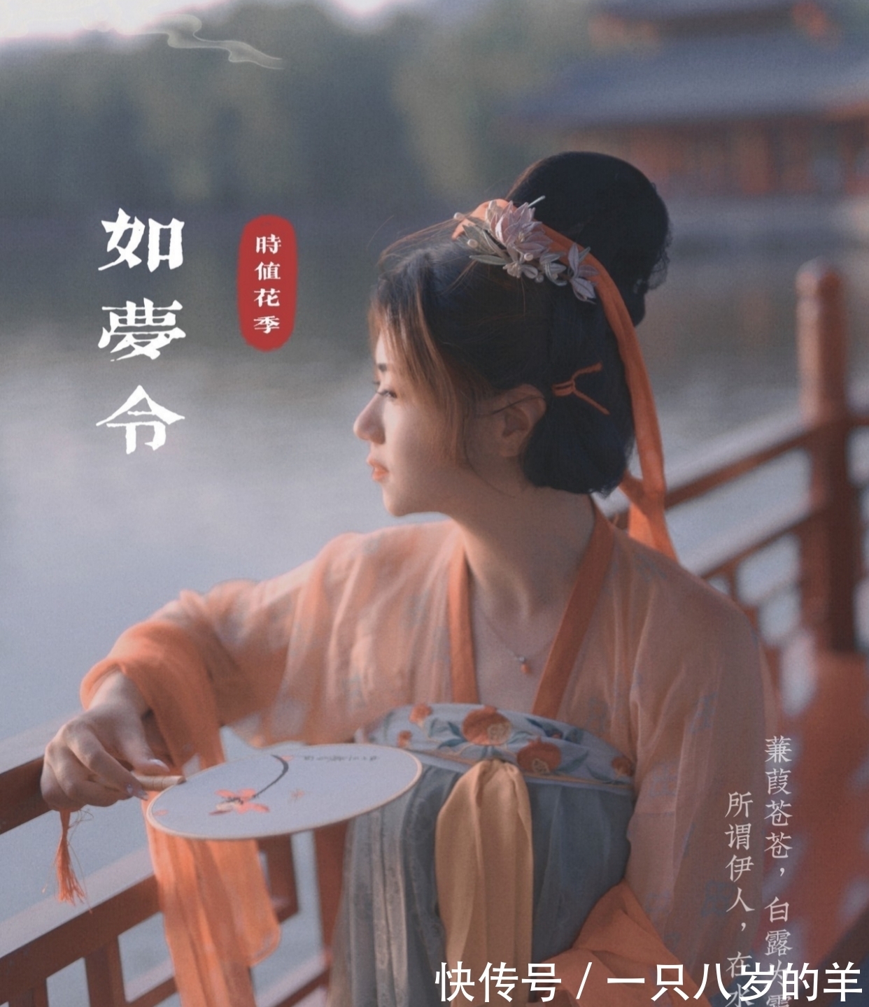 雏子&七言绝句:慈母手中线