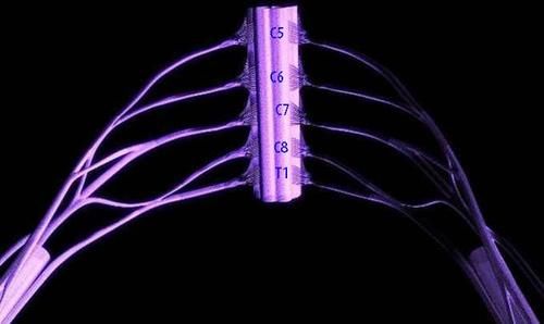 院士|养肝的“黄金期”在早上？李兰娟院士建议：这4种早餐，或可常吃