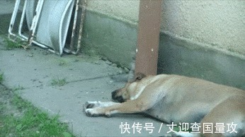 |搞笑GIF: 请原谅我不厚道的笑了 吃饭的时候最好不要看