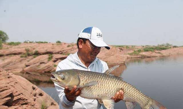 20年经验之谈，钓大鱼这几点很关键，不要等到切线爆竿才后悔！