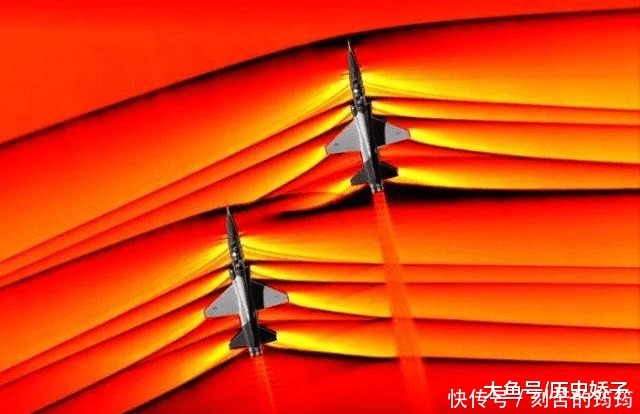 电子显微镜 22张“活久见”的照片,令人大开眼界!