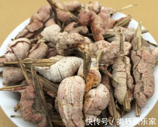 竹黄|大火里烧出来的宝贝，竹林中的“小疙瘩”竹黄，70元一斤也难买