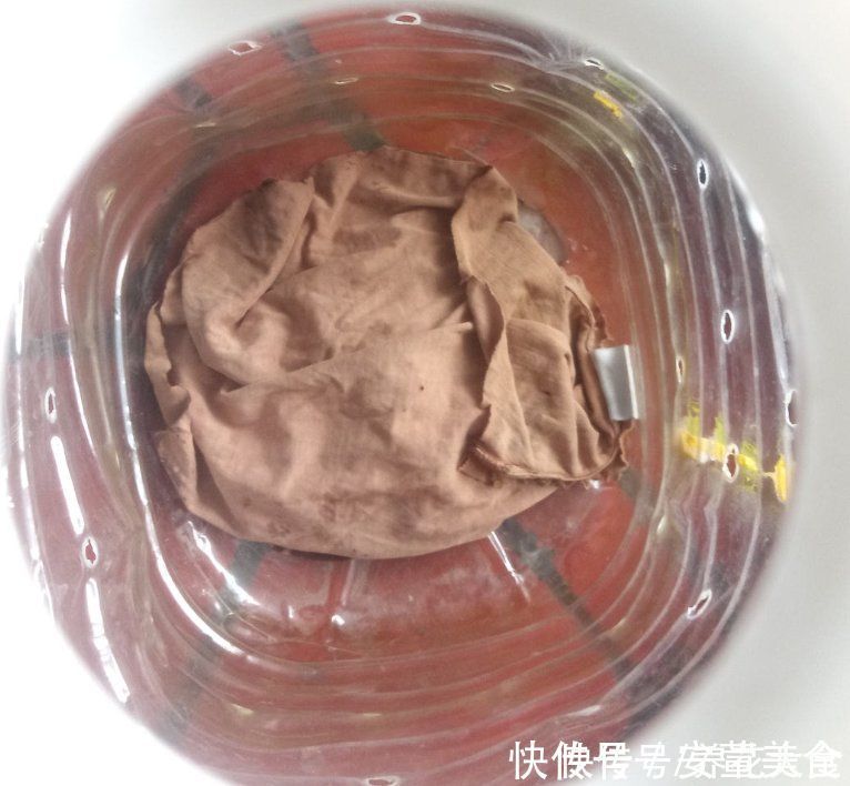 家里的油桶不要扔，拿来种菜养花，省钱又好用