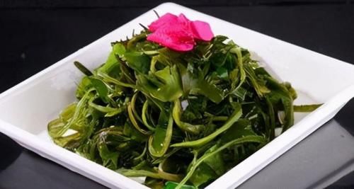 人才|会吃的人才长寿，夏天推荐3种食物，排毒瘦身，抗衰老早食早受益