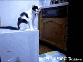 |搞笑GIF趣图公司里一个未婚女同事,天天蹭我车上下班