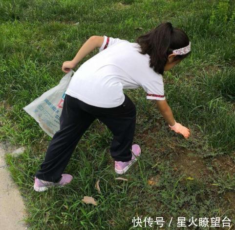 夏威夷|我国最具有热带文化旅游点，生活节奏慢，人称“小夏威夷”的城市