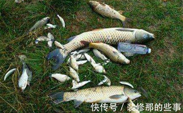 鱼情|秋钓5大秘诀：看、选、找、定、饵，遵守这些原则，大鱼连竿上