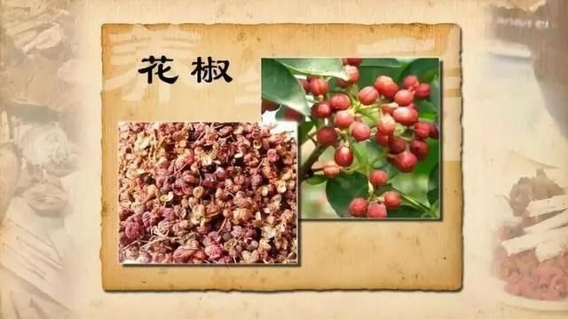 羊肉太膻、煎鱼粘锅、炒藕发黑？这些“大厨秘籍”你一定用得上