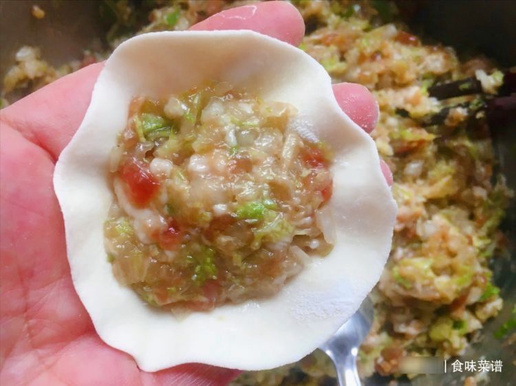 吃白菜的季节到了,教你秘制白菜饺子馅,鲜嫩多汁,一次3盘不够