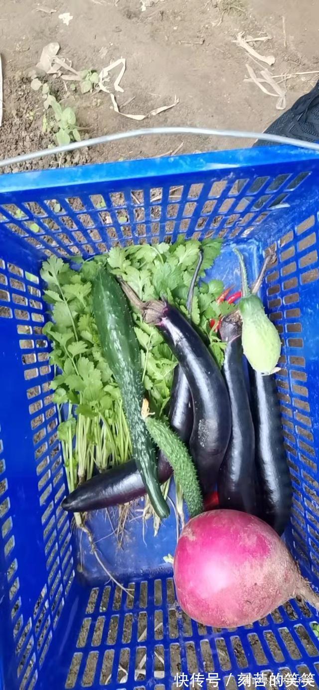 让生活每一天都有意义-记2021年十一假期