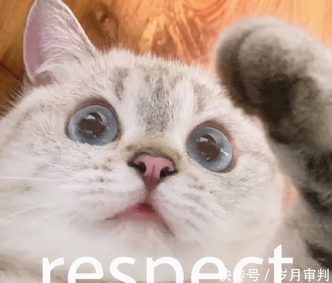 这20支春夏口红太绝了!显白有气质,谁涂谁美炸