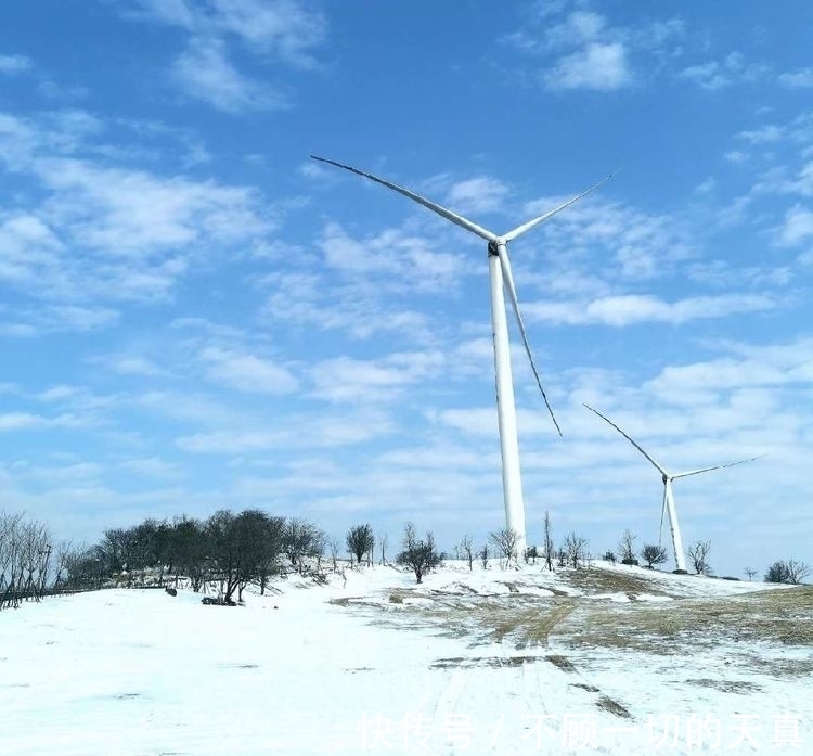 盛荣!七律 辞别2021 迎接2022(外六首)