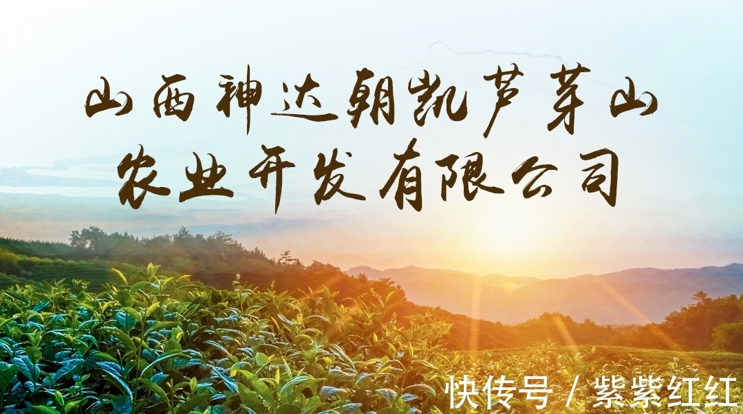 王阳明&哲思|改变人生的,不是大道理,而是小习惯