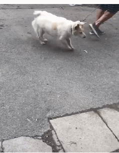 |搞笑GIF:真是的,你跟我一个配钥匙的装什么装!