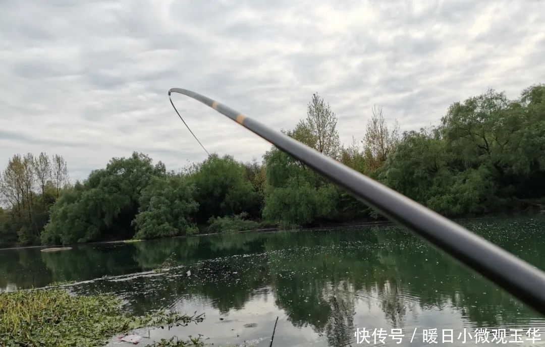 坏习惯|窝中来了大鱼，这几个坏习惯要改改，否则再好的饵料也白费！