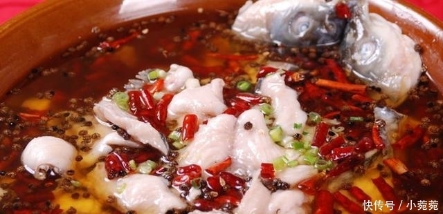 草鱼5种最好吃的做法,简单美味又下饭,看看你喜欢吃哪种?