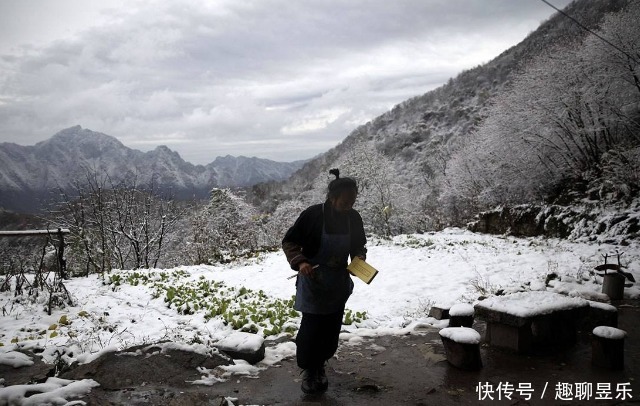 选择|终南山有上万人“隐居”，当真是看破红尘？当地村民却称皆是假象