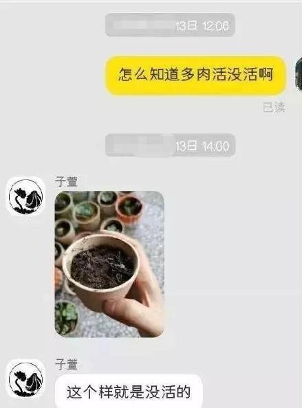 取不|你好扳手取不下来了，客服您好找个男的…不愧客服界的段子手