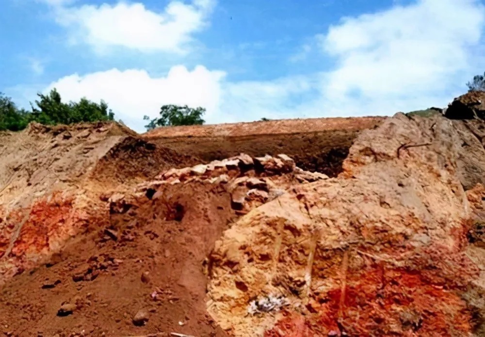 醒来|盗墓贼喝下墓中千年老酒:2天后醒来说了句话至今成笑柄...