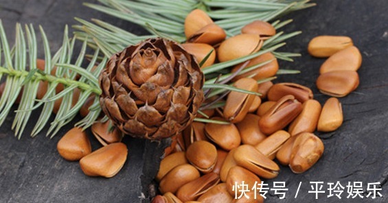 南瓜子|營養師10大堅果的”食用誤區“，很多人都錯了，包括花生、瓜子