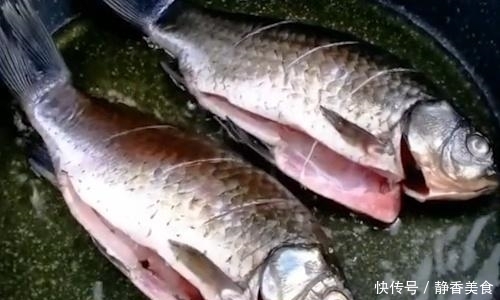 无论炖什么鱼,别只会加水了!加点它,鱼汤更白更香,成本只3元