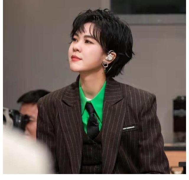 譚詠麟、林志炫領(lǐng)銜，大咖云集，芒果這檔音綜真的絕