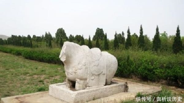  甲天下|盛世的冰山一角，桥陵石雕甲天下