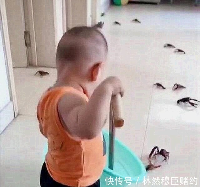 小龙虾|宝妈买完菜回来上了厕所,出来后感觉要崩了,宝妈亲生的不能扔