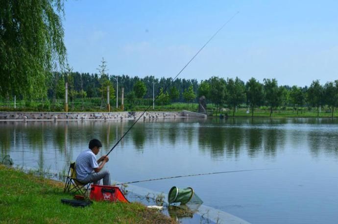 信号|夏天野钓看到这三个信号,说明有大鱼进窝了