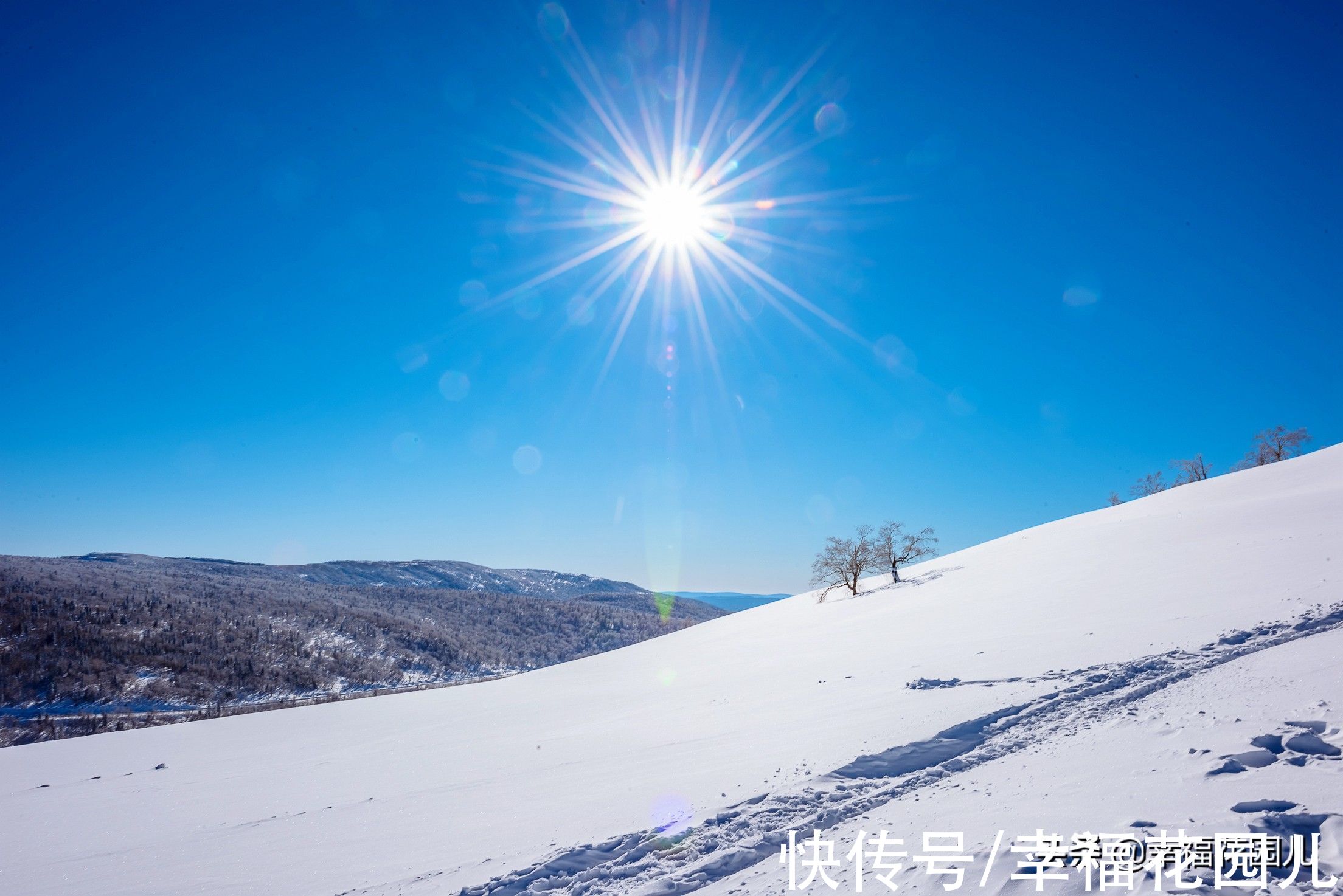 老桥|赏冰、玩雪、看美景，找回儿时过年的味道，就在非常冰雪黑龙江