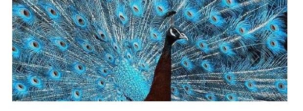 高光|王一博开屏在即,红黑热搜层出不穷,保持无感等待高光时刻