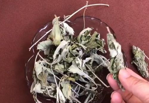 干艾草搓一搓用火烧真厉害，知道的人还不多，快去试试