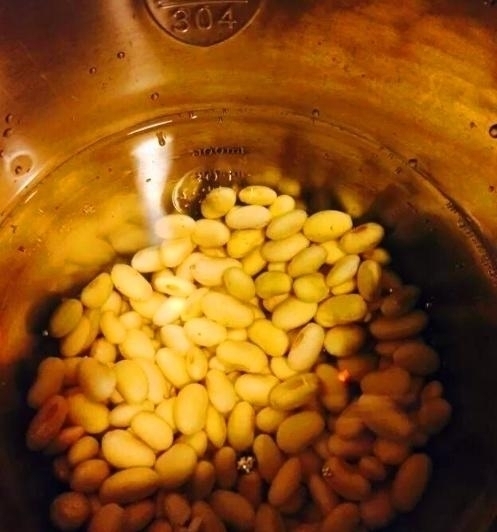 给花“换土”太麻烦丢点“这”3种“玩意”,旧土变成新土!