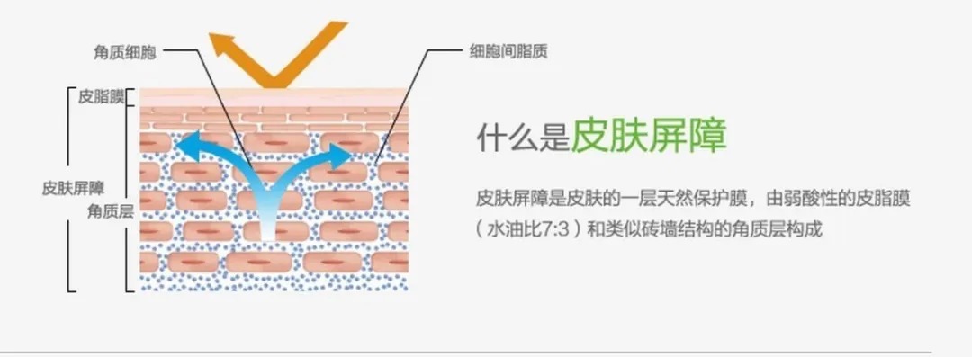 春季化妆品最佳搭配和使用方法