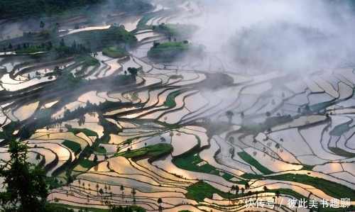 全新|诗画山水 温润之州——2020版温州旅游宣传片全新出炉